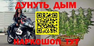apvp Свободный