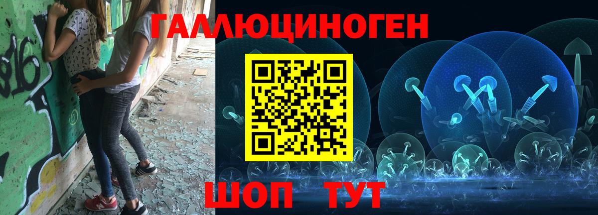 Галлюциногенные грибы GOLDEN TEACHER Новокубанск